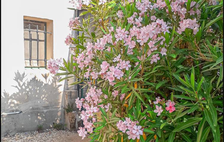 Ferienhaus für 2 Personen in Arles - 4