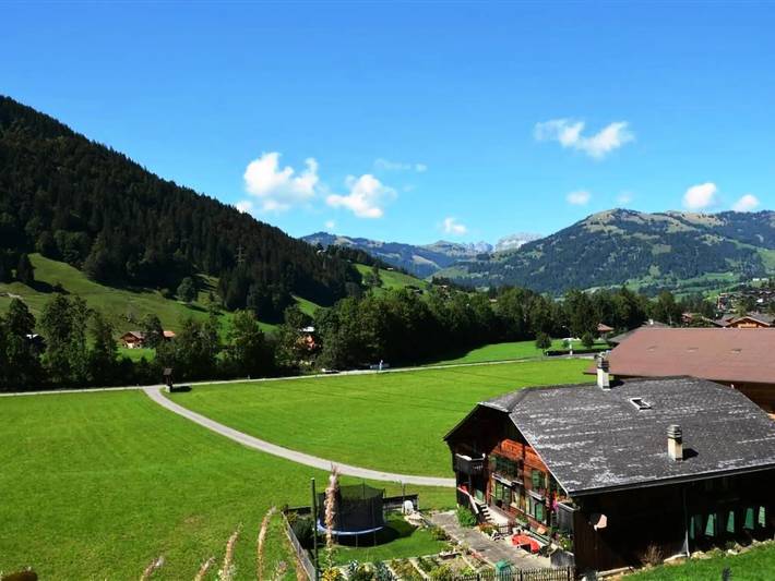 Ganze Wohnung, 3 Zimmer 4 Personen in Gstaad, Saanen
