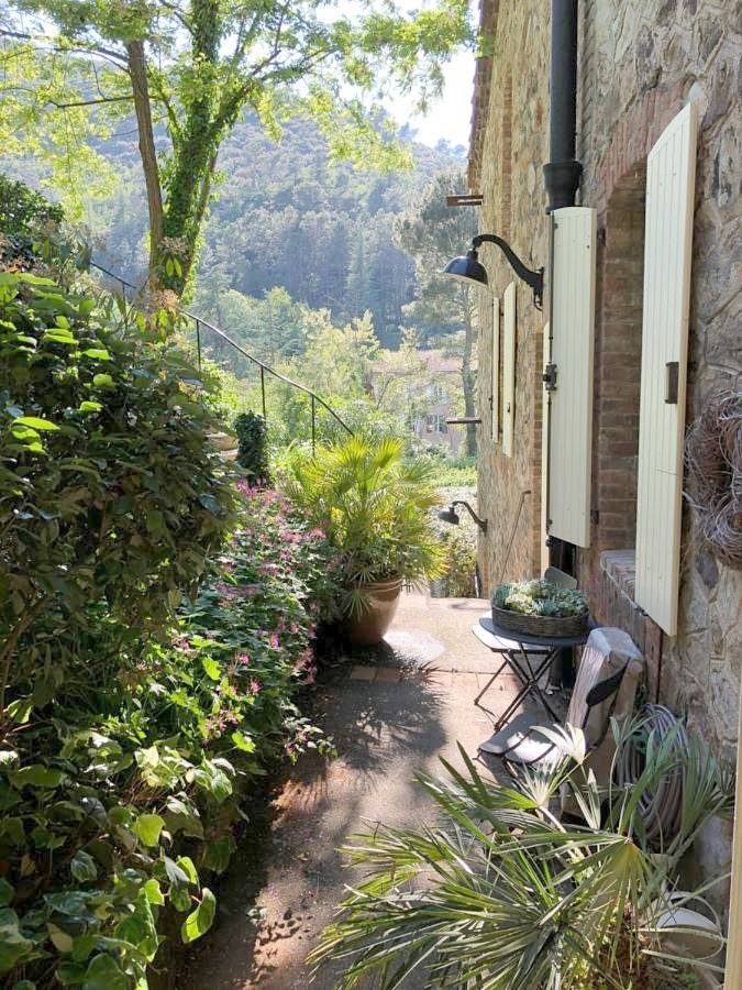 Luxe vakantiewoning in Zuid Frankrijk - Cévennes in Molières-sur-Cèze, Parc national des Cévennes