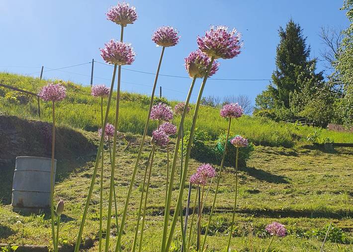 Ferienwohnung für 4 Personen im Erzgebirge