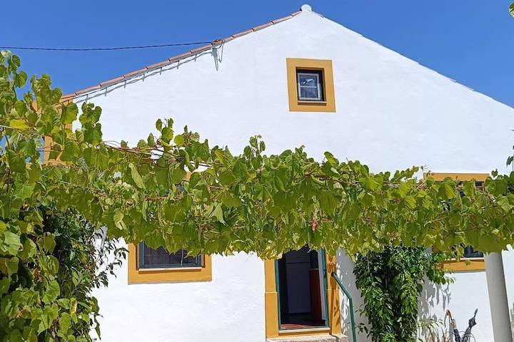 Location de vacances pour 6 personnes, avec jardin dans Torres Novas - 3