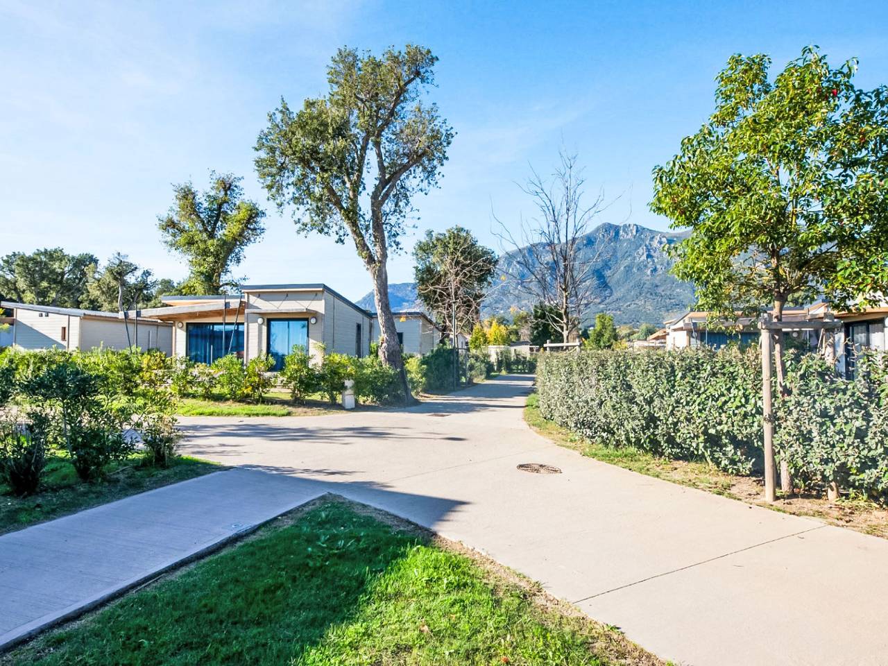 Lodge Natura 4p in Santa Maria Poggio, Corte e dintorni