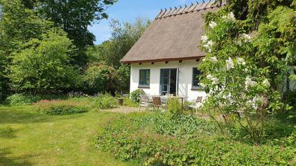 Ferienhaus für 4 Personen, mit Garten und Terrasse, mit Haustier an der Kattegat Küste
