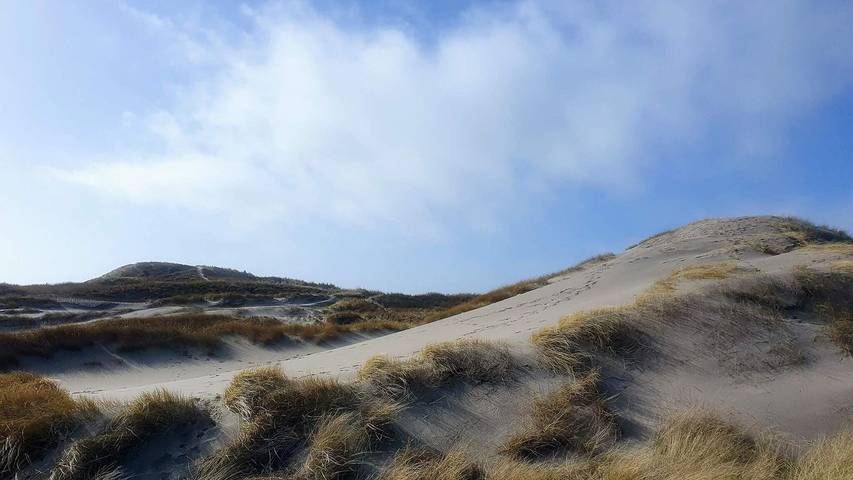 Ferienhaus für 7 Personen, mit Terrasse in Søndervig - 4