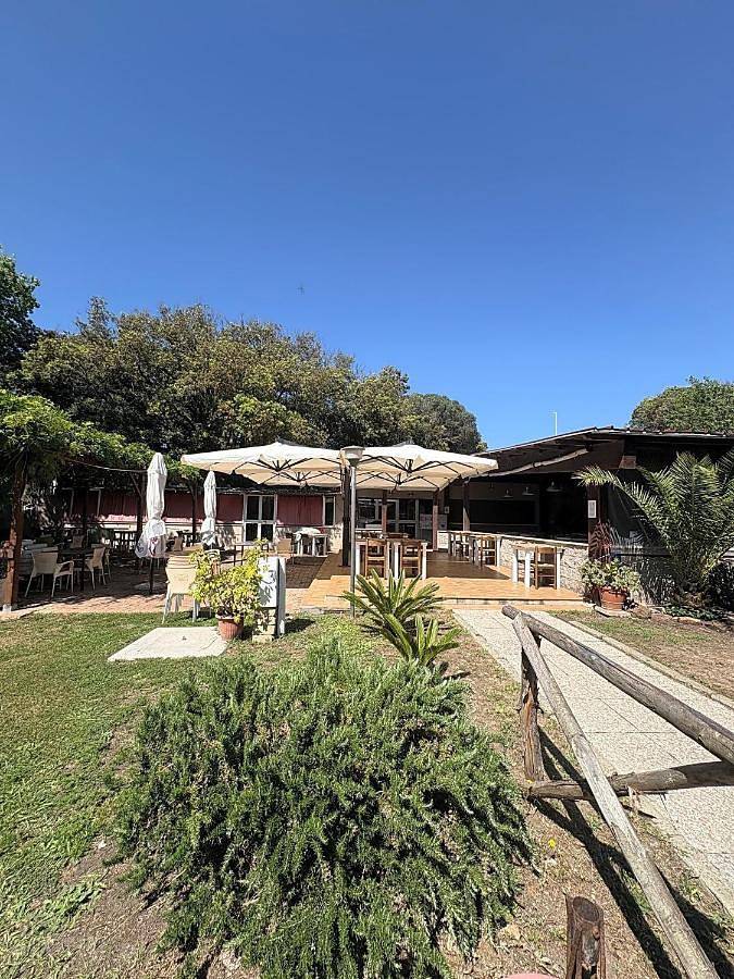 Camping Internazionale Di Castelfusano in Lido del Finanziere, Rome