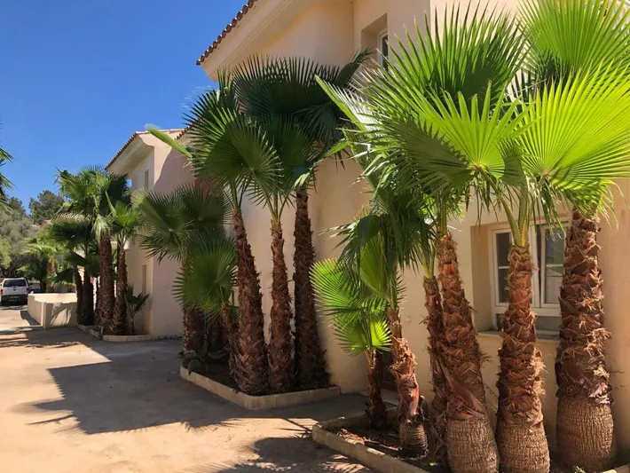 Casa de vacaciones para 6 personas, con piscina además de vistas y jardín - 1