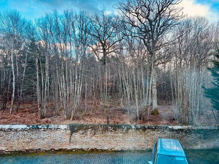 Hôtel pour 4 personnes, avec terrasse, animaux acceptés à Nançay - 2