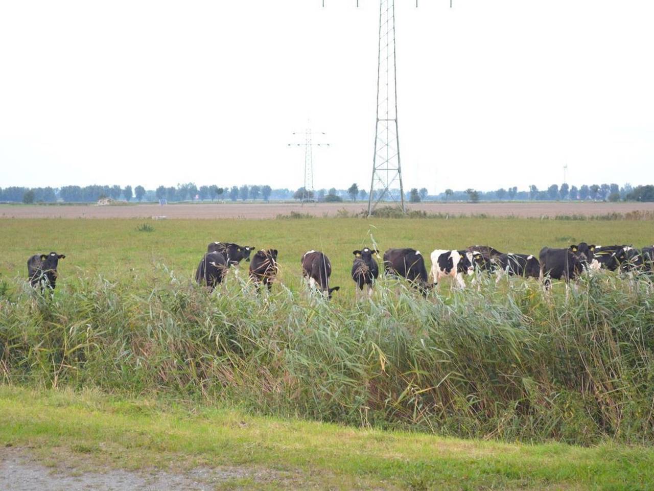 Ganze Ferienwohnung, Sparenborg - Fewo Flinthörn - Flinthörn I in Krummhörn, Landkreis Aurich