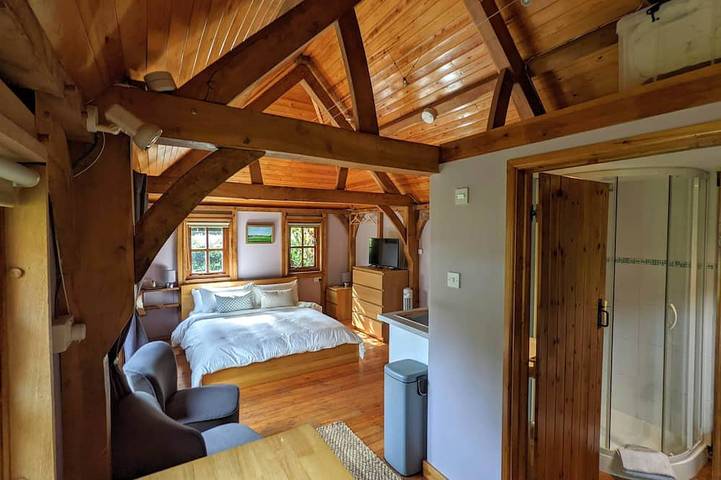 Cabin in the Forest. in Brockenhurst, Hampshire