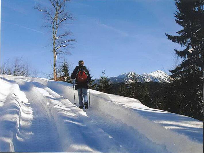 Oberbach in Göstling an der Ybbs, Mostviertel