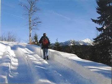 Ferienhaus für 10 Personen in Göstling an der Ybbs, Ybbs, Bild 4