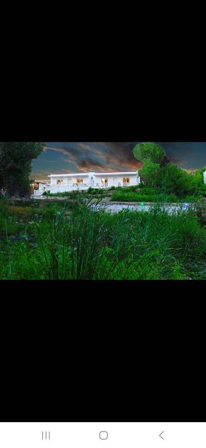 Location de vacances pour 4 personnes, avec piscine et terrasse ainsi que vue sur le lac et vue, animaux acceptés à Campo Maior - 2