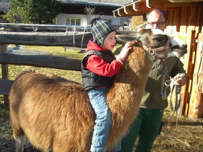 Familienzimmer in Hohe Tauern, Großkirchheim