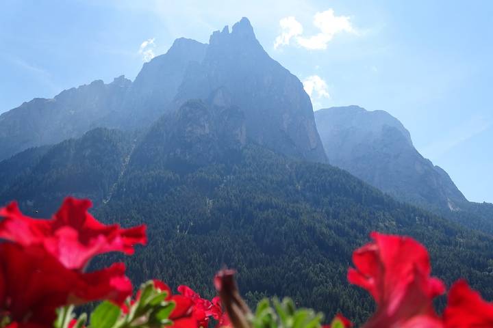 Ganze Wohnung, Ferienwohnung 'Schmetterling' mit Bergblick, Gemeinschaftsterrasse und Wi-Fi in Kastelruth, Dolomiti Superski