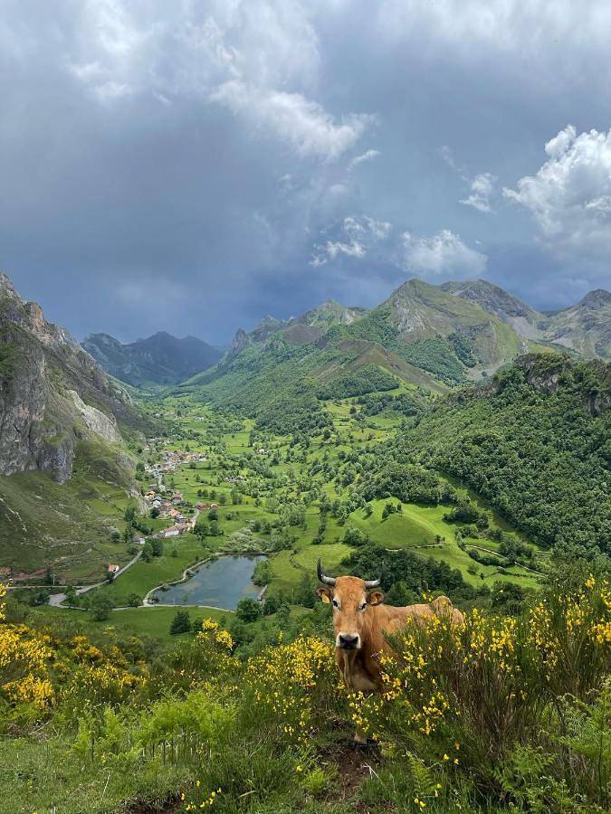 Apartamento de vacaciones para 2 personas, con jardín en Asturias - 3