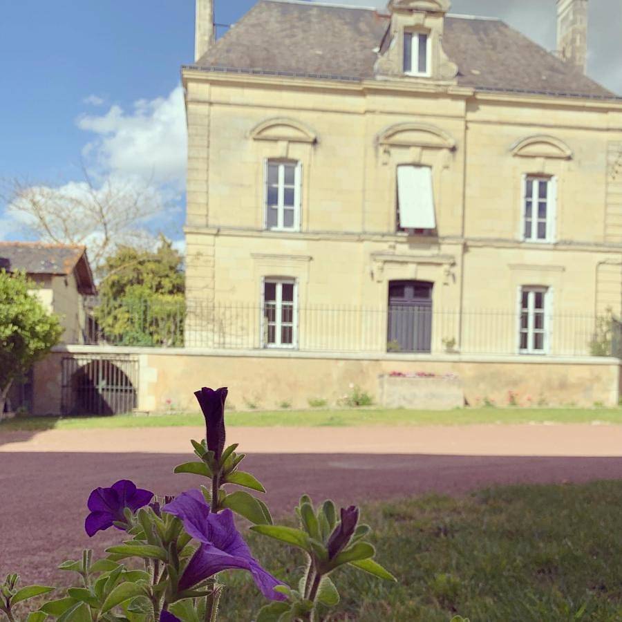 Double Room with Private Bathroom in Vaudelnay, Vallée de la Loire
