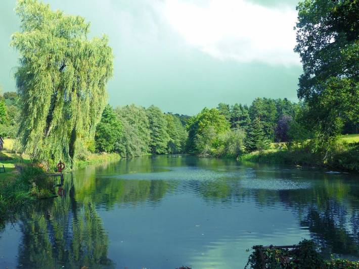 Ferienwohnung für 4 Personen, mit Seeblick und Ausblick sowie Garten in Kurpfalz - 3