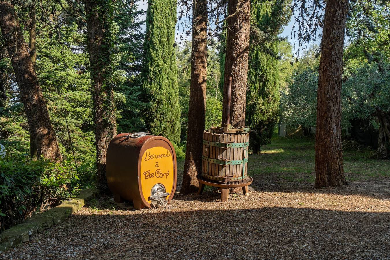 Appartamento intero, Casa di campagna 'Il Nido' con giardino condiviso e Wi-Fi in Arezzo, Provincia di Arezzo
