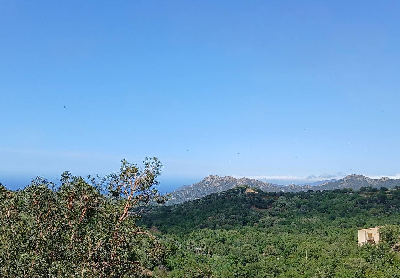 Cottage 'A Casa Di Mamo' mit Meerblick und privater Terrasse in Ville-di-Paraso, Calvi und Umgebung