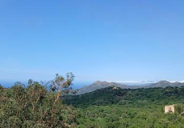 Gîte pour 5 Personnes dans Ville-di-Paraso, Région de Calvi, Photo 1