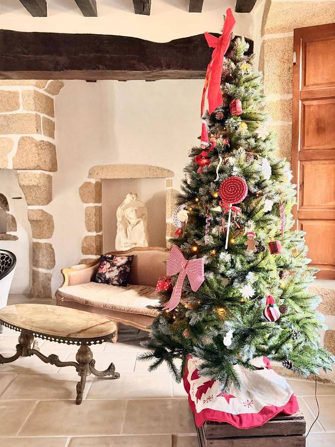 Location de vacances pour 12 personnes, avec jardin ainsi que vue et piscine à La Flocellière - 2