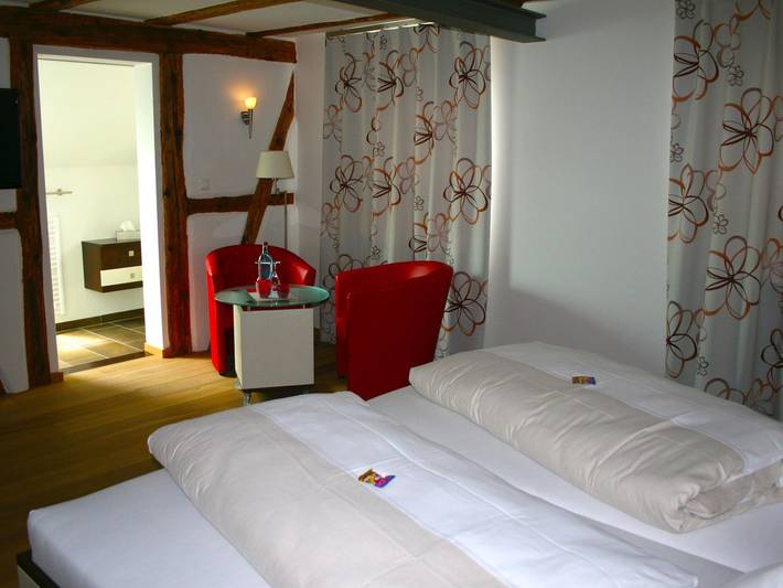 Hotel für 3 Personen, mit Terrasse und Garten in Ilbesheim bei Landau in der Pfalz