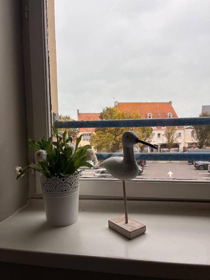 Gîte pour 4 personnes, avec vue, adapté aux familles dans Office De Tourisme De La Terre Des 2 Caps - 3