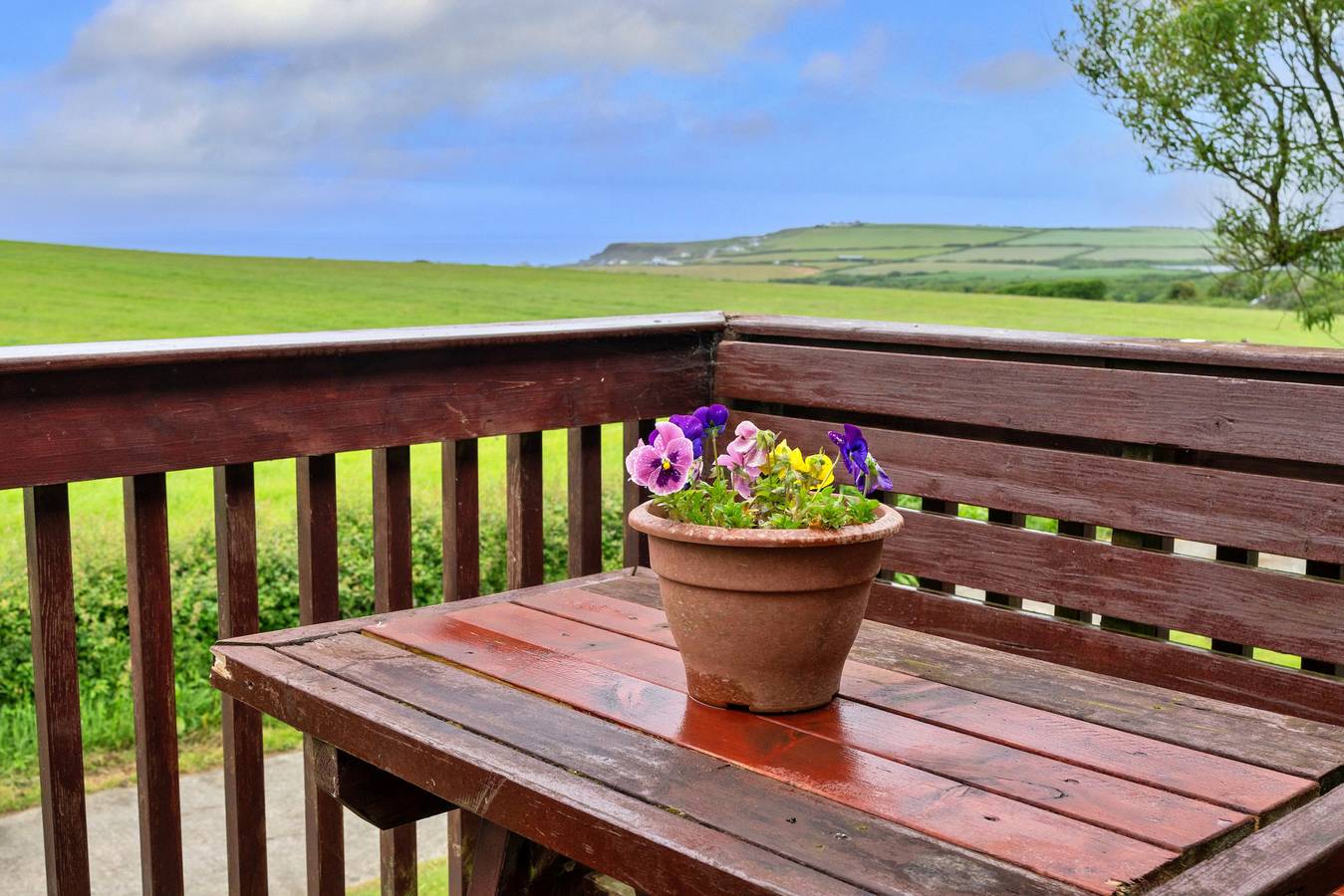 Squire, Quinceborough Farm in Pentire Point - Widemouth