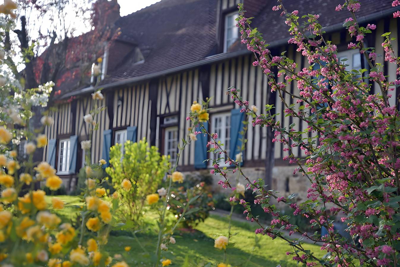 Chambre d’hôtes « Chambre - Les Toits » avec terrasse partagée, jardin commun et Wi-Fi in Courtonne-la-Meurdrac, Région de Lisieux