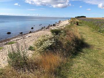 Ferienhaus für 4 Personen in Gollwitz, Nordwestmecklenburg (Wismar und Umgebung), Bild 3