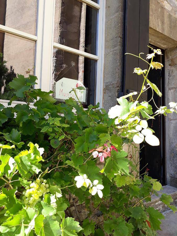 Location de vacances pour 2 personnes, avec vue et terrasse à Vézelay - 2