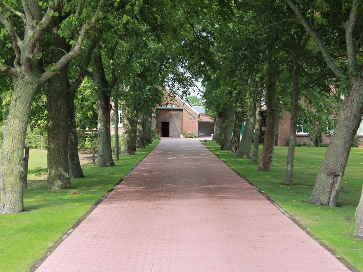 Ferienwohnung für 3 Personen, mit Garten, kinderfreundlich in Nesse - 3