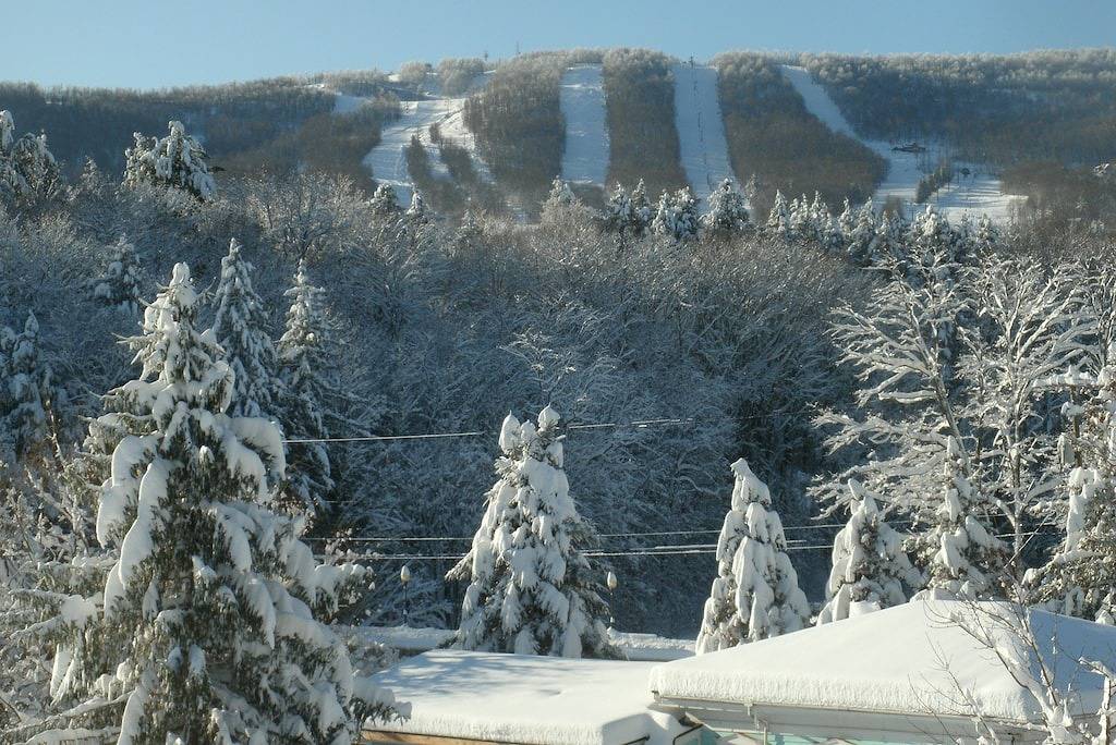 Ganze Wohnung, Penthouse / Wintergarten, Terrasse, Blick auf die Berge, 5 Betten für 7 Personen in Windham, Windham Mountain