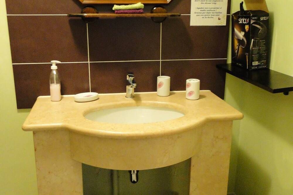 The Vines in Andilly, La Rochelle region