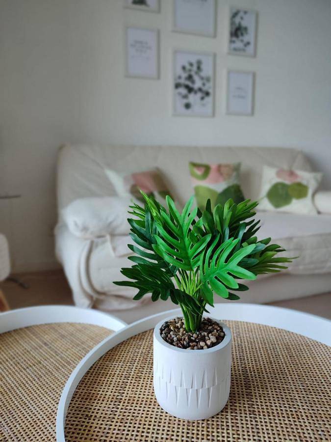 Gîte pour 4 personnes, avec vue et balcon à Malbuisson - 2
