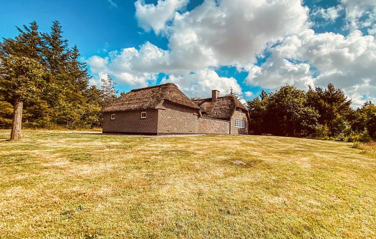 Ferienhaus für 8 Personen, mit Terrasse und Sauna sowie Garten, mit Haustier in Vedersø Klit - 3