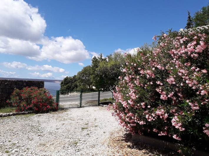 Apartman Beli 1 in Tribanj, Starigrad