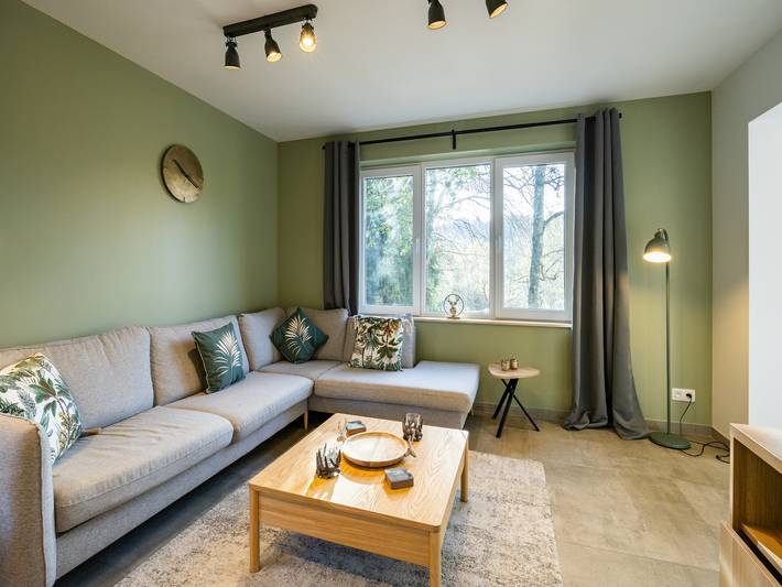 Location de vacances pour 12 personnes, avec jardin ainsi que jacuzzi et piscine, animaux acceptés dans Dochamps - 2