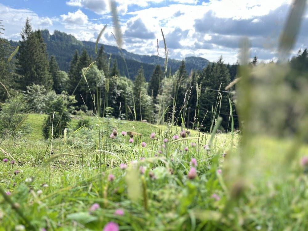 Ganze Ferienwohnung, Siebenschläferhütte - Selbstversorgerhütte in Buchenberg, Bayerisch Schwaben