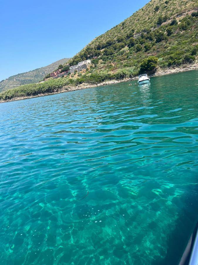 Appartamento intero, Casa Magica Ogliastro in Ogliastro Marina, Castellabate