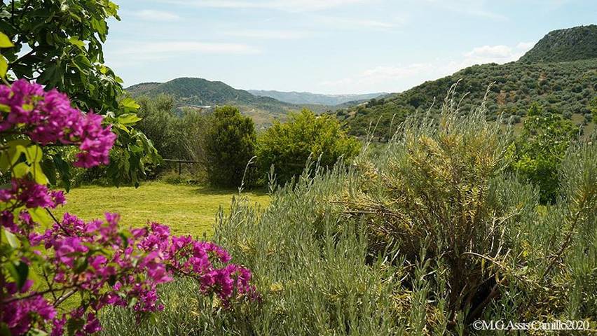 Chalet para 22 personas, con vistas además de jardín y piscina en Axarquía - 4