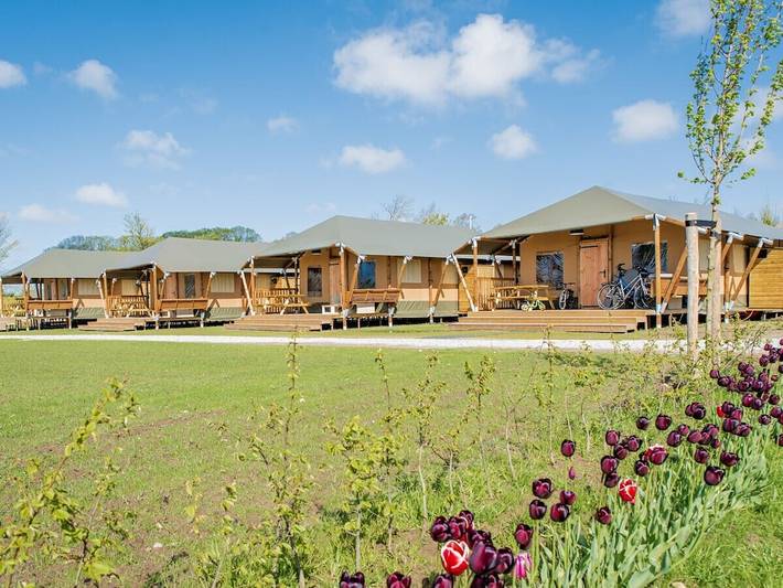 Cottage für 6 Personen, mit Terrasse in Westerland (Niederlande)