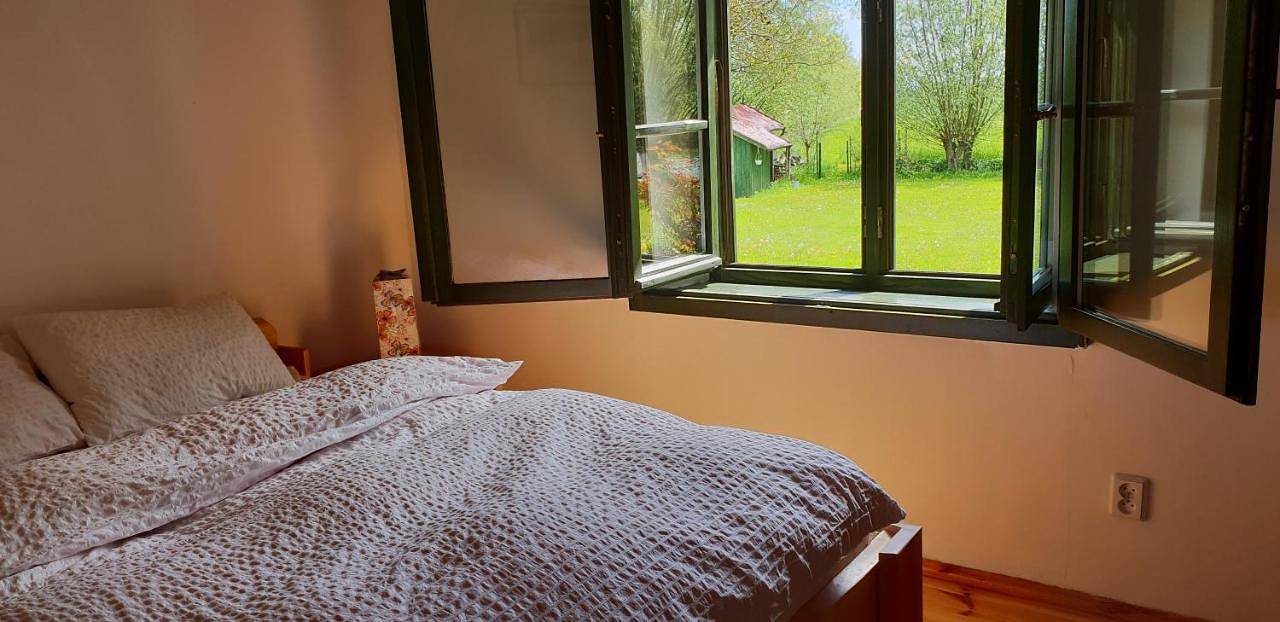 Nad Wierzbowym Stawem in Stegna Polska, Zatoka Gdańska