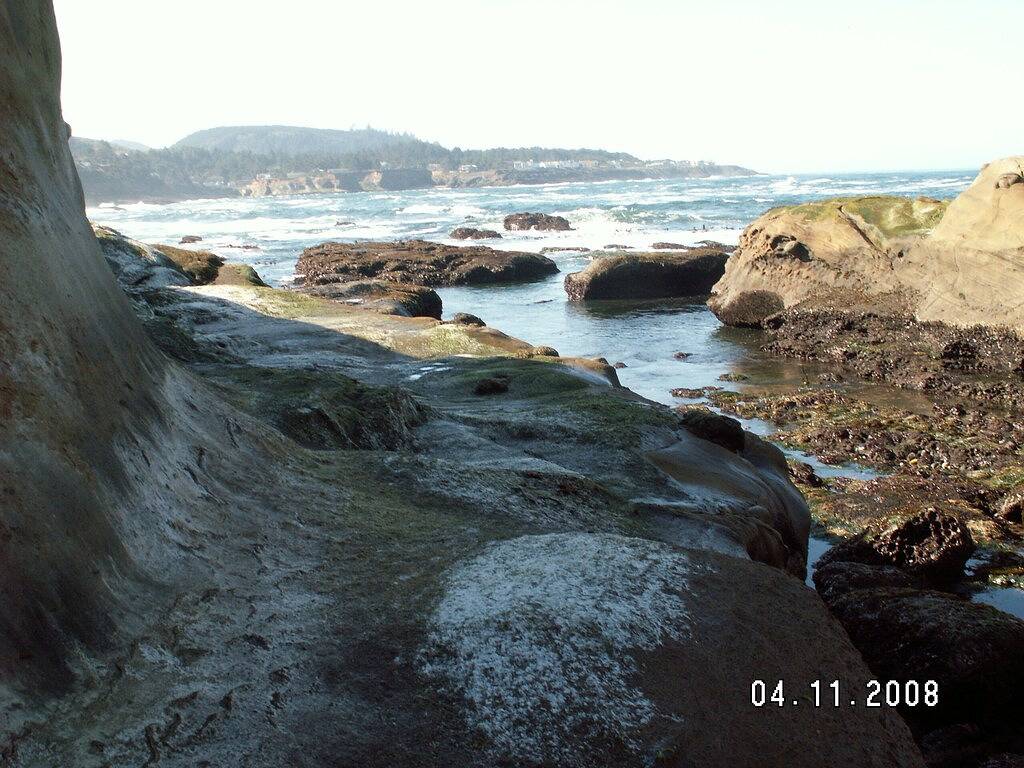 Whale of a View, Stadtzentrum, Keine zusätzlichen Gebühren, Kamin, Pc, Wifi, Überdachtes Parken in Depoe Bay, Lincoln County (OR)