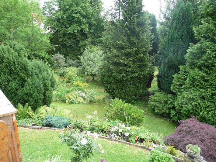 Ferienwohnung für 6 Personen, mit Terrasse in Bad Sachsa - 3