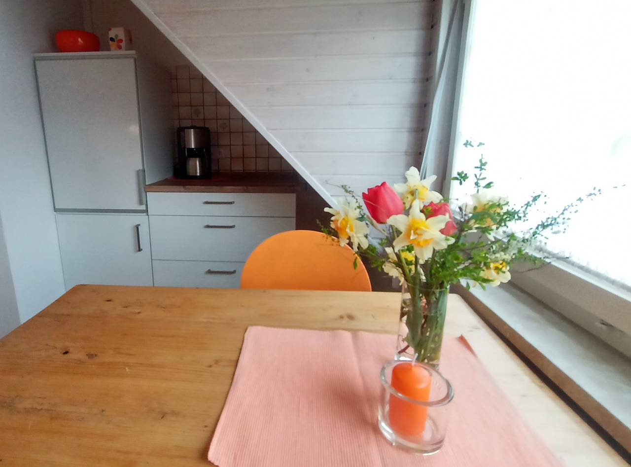 Ganze Ferienwohnung, Dg Bodensee Apartments Friedrichshafen Fischbach in Friedrichshafen, Region Bodensee-Oberschwaben