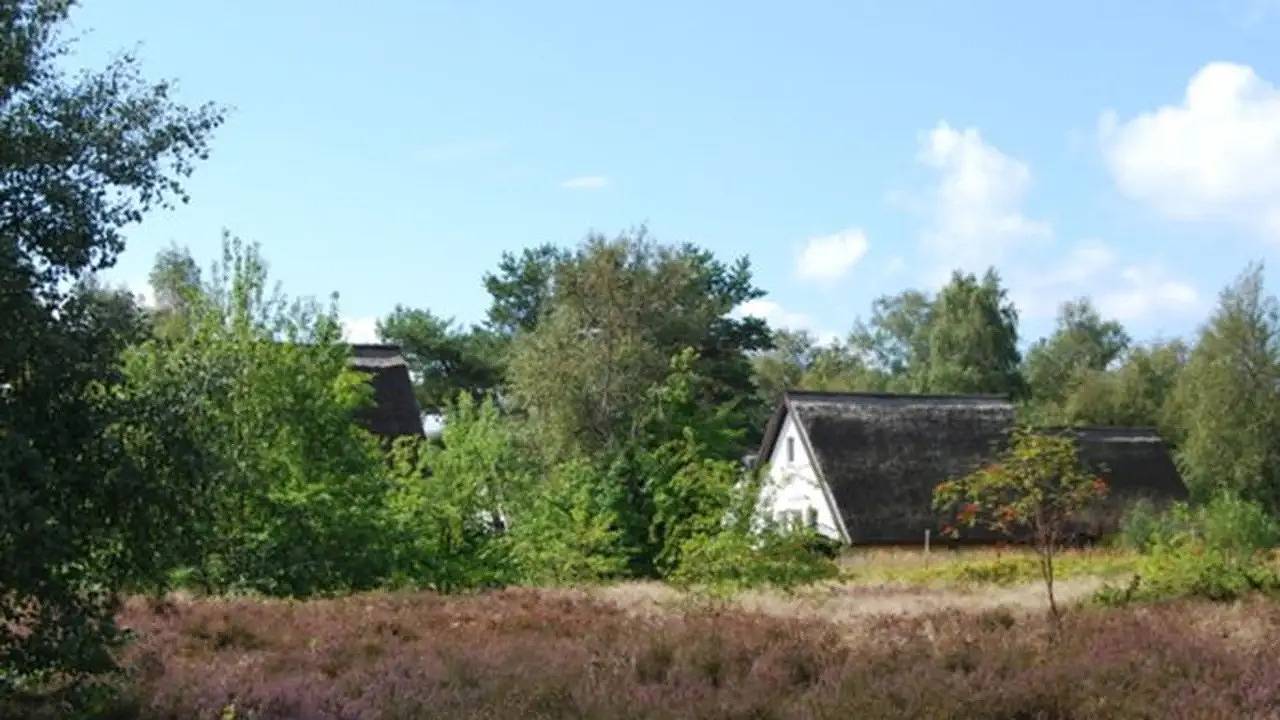 Ganze Ferienwohnung, Ferienwohnung für 4 Personen (32 m²) in Insel Hiddensee in Hiddensee, Vorpommern-Rügen