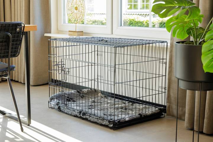 Ferienhaus für 6 Personen, mit Garten und Terrasse in Bad Bentheim - 4