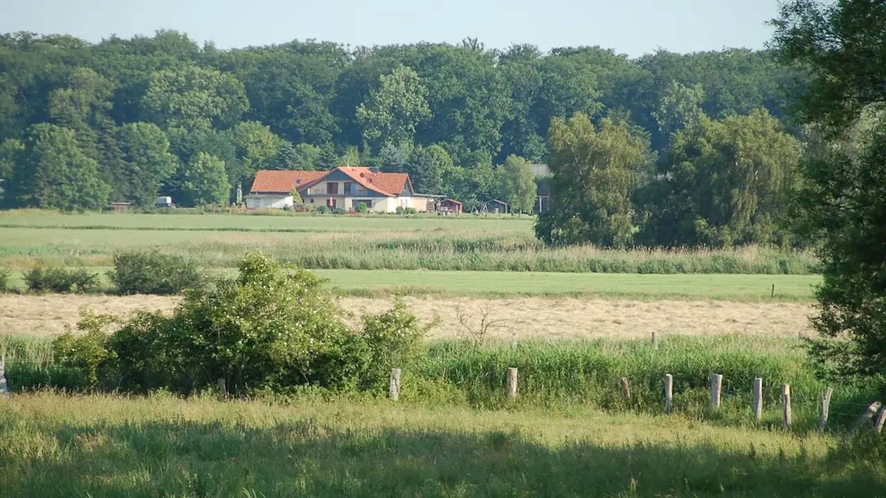 Ferienhaus für 12 Personen (160 m²) in Kellenhusen in Kellenhusen, Ostholstein