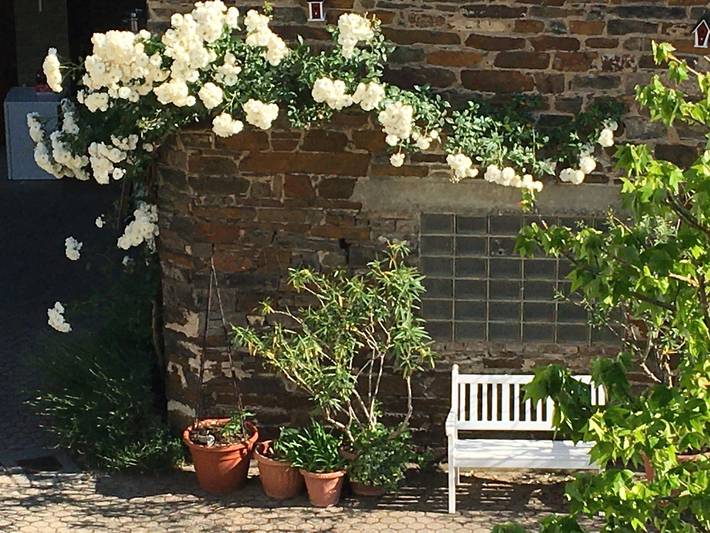 Ferienwohnung für 3 Personen, mit Terrasse an der Burg Eltz - 3